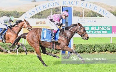 Casterton Double with Enchanted Elle and Golden Garden
