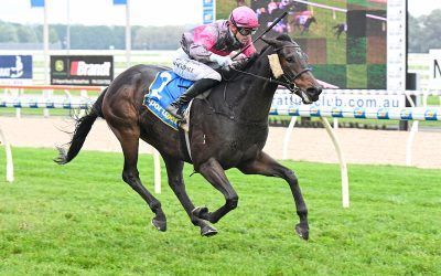 Stable Strikes Twice at Ballarat