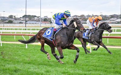 Bazini Breaks Through at Home