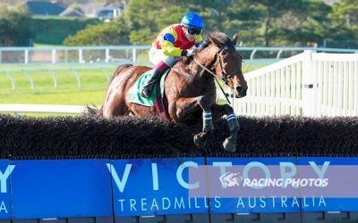 Golden Garden Claims the Thackeray Steeplechase