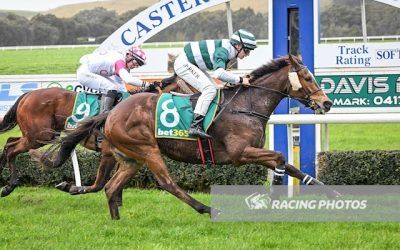 Thurmond Wins at Casterton at His Hurdling Debut