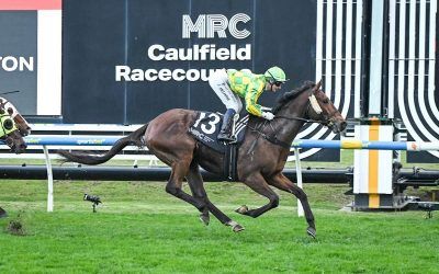 Darkbonee Cruises to Victory at Caulfield, Spring Targets Now in Sight