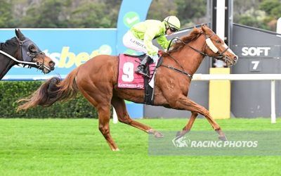 Queen Christine Extends Her Winning Streak