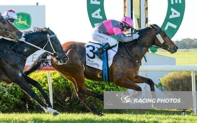 Tikemyson Bounces Back to Win the Sheep Hills Cup