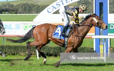 Fiorowngood Breaks His Maiden at Casterton