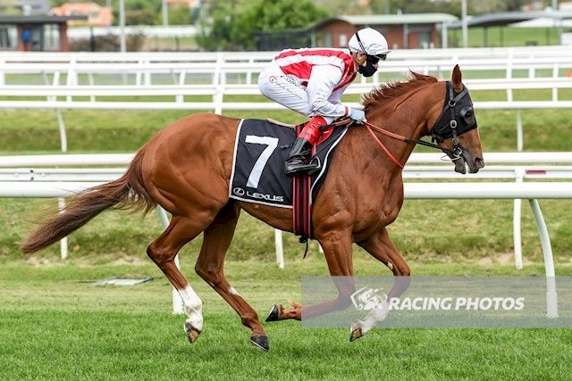 Art Glass (Sebring-Crystal Flute)