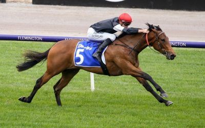 Mildred an early-season 2YO star for Begg family