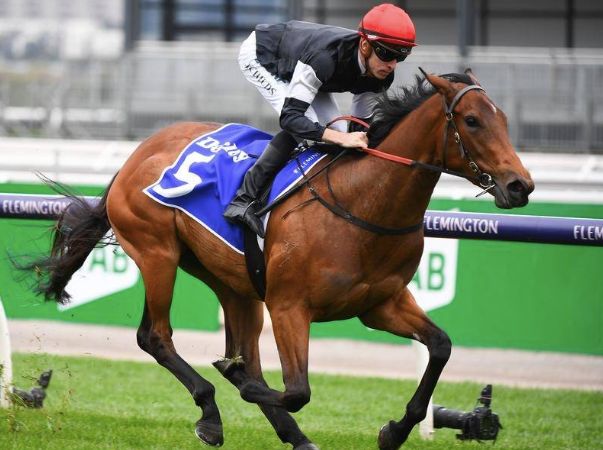 Race experience pay dividends for Mildred, winner of the Maribyrnong Trial Stakes at Flemington.