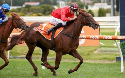 DOSH Leading the Australian 2YO Ladder