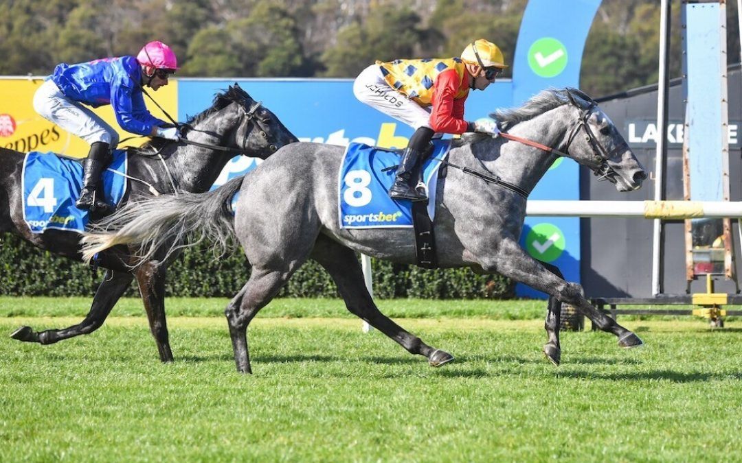 Silver Magnate