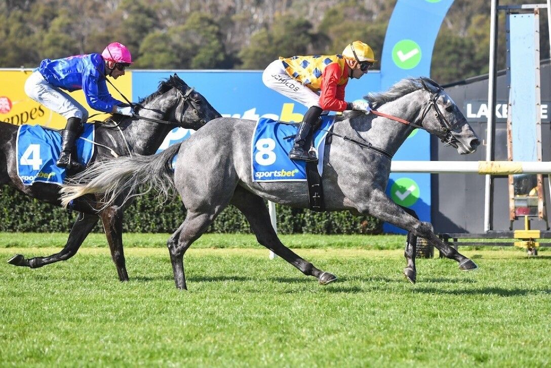 Silver Magnate