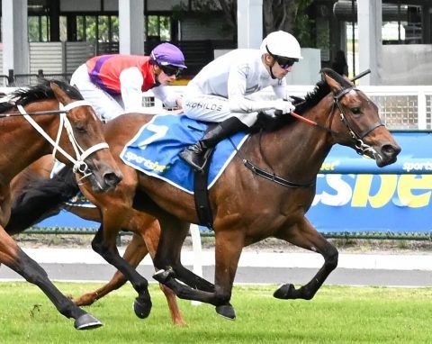 Un-named (Capitalist - Manaya)