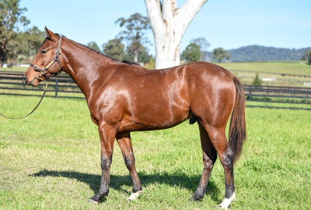 Un-named (Toronado – Eloquent Ruby)