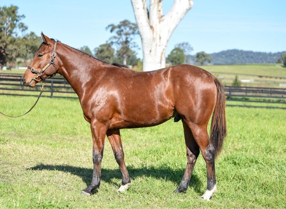 Un-named (Toronado – Eloquent Ruby)
