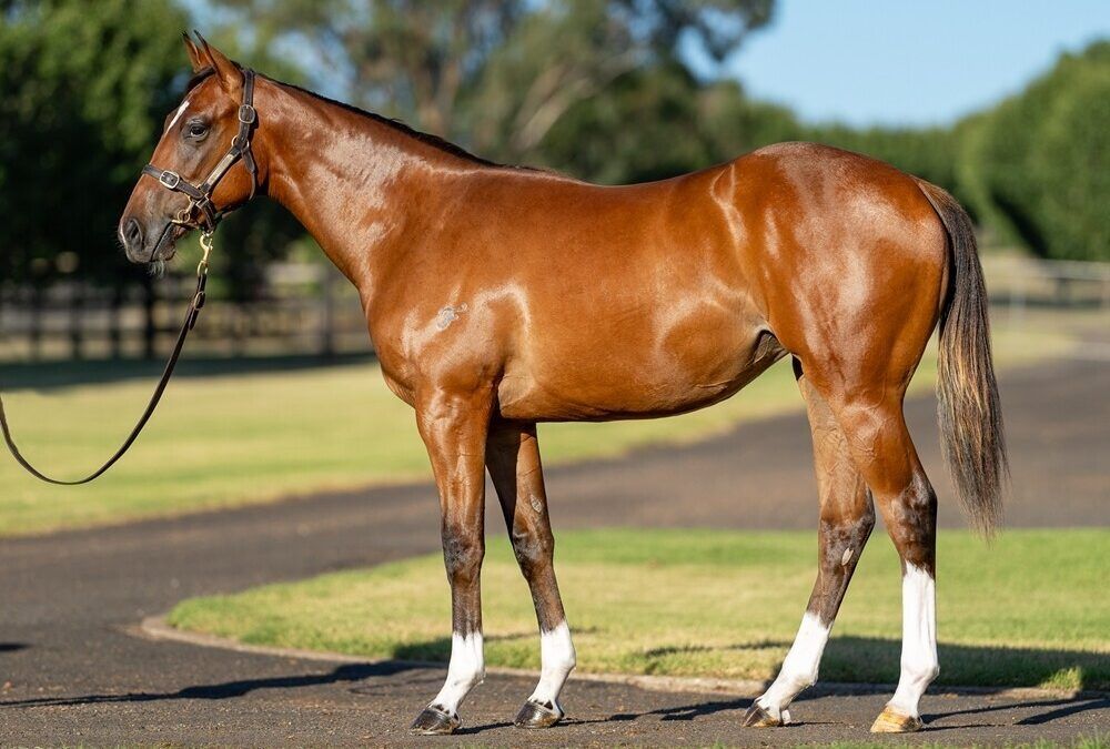 Un-named (Frankel – Tolede)
