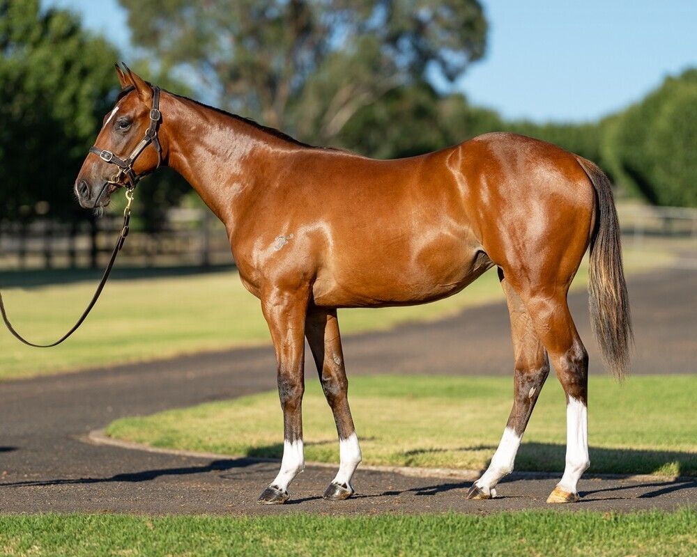 Un-named (Frankel – Tolede)