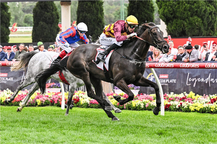 image Royal Insignia