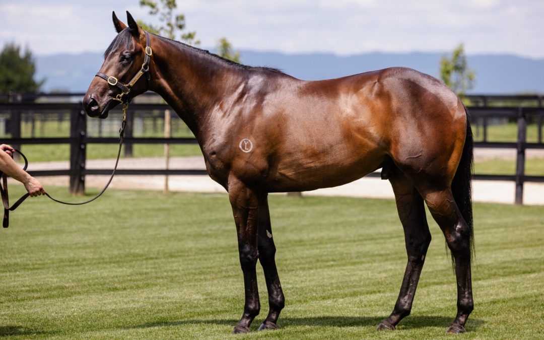 Un-named (Grunt – Savvy Move)