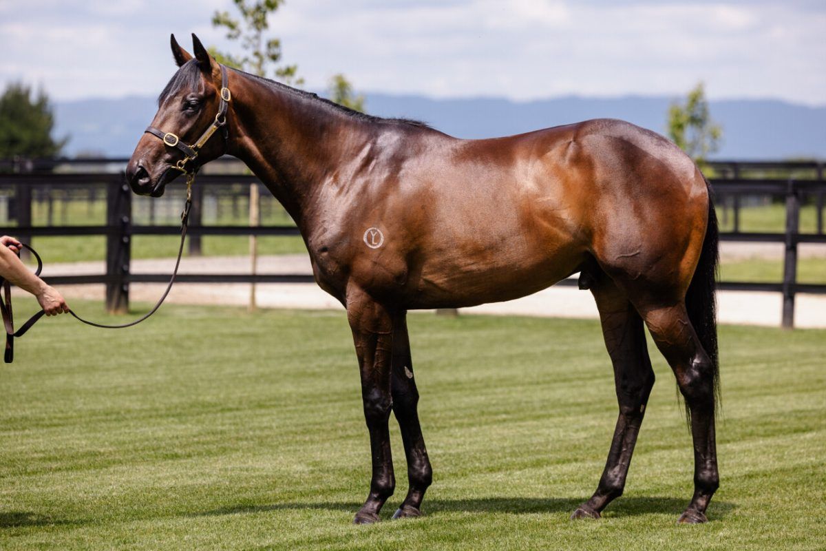 Un-named (Grunt – Savvy Move)