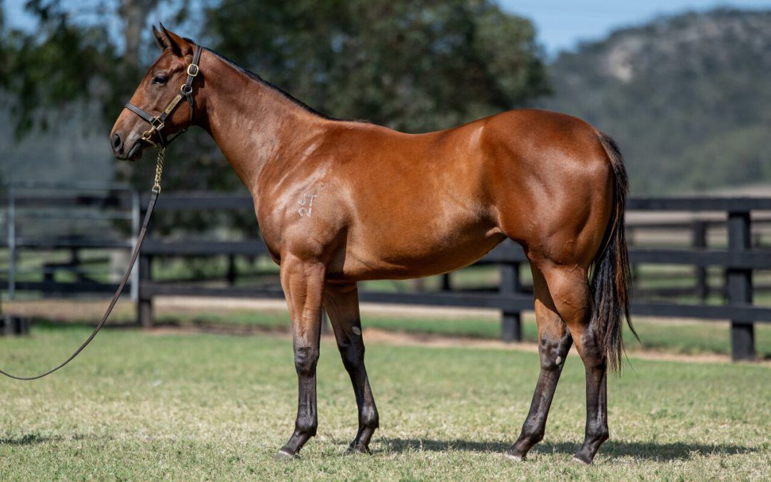 Un-named (Graff – Hot Royal)