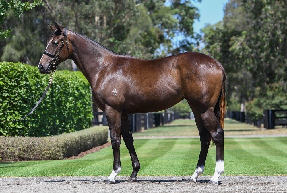 Un-named (St Mark’s Basilica – Pearl Of Manama)