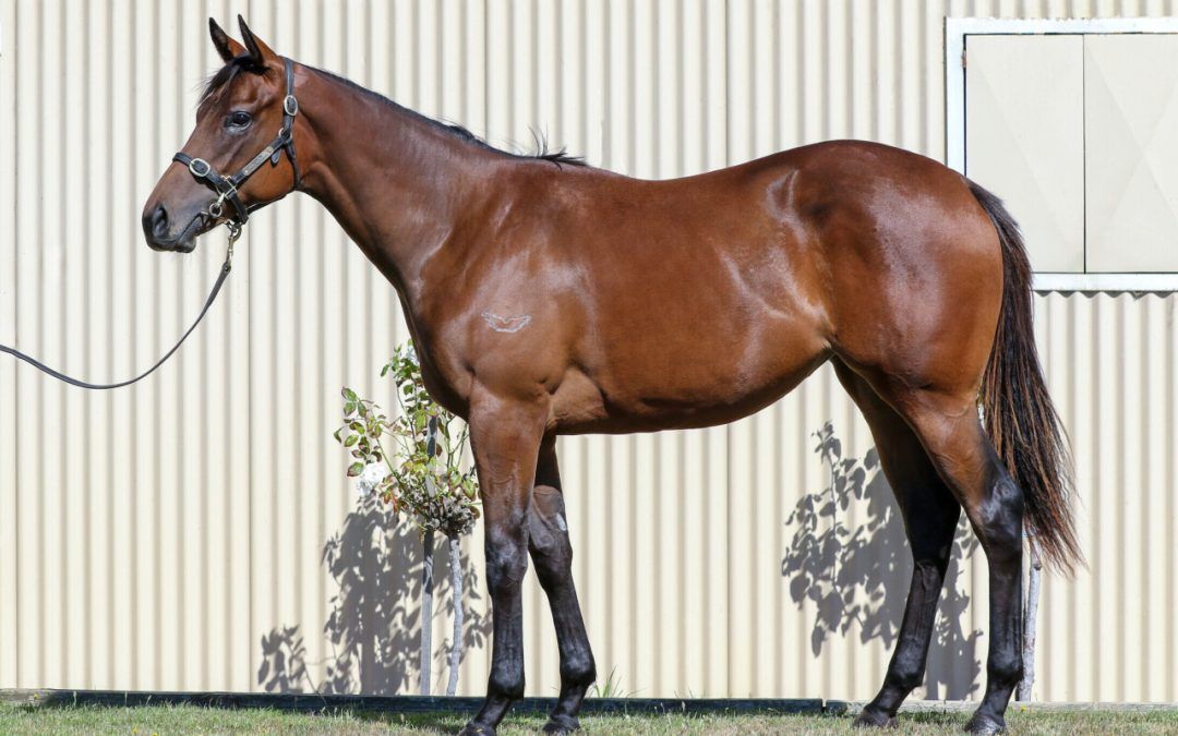 Un-named (Too Darn Hot – Think Diamonds)