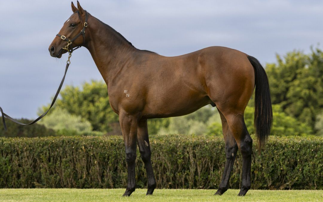 Un-named (Hanseatic – Lonesome)