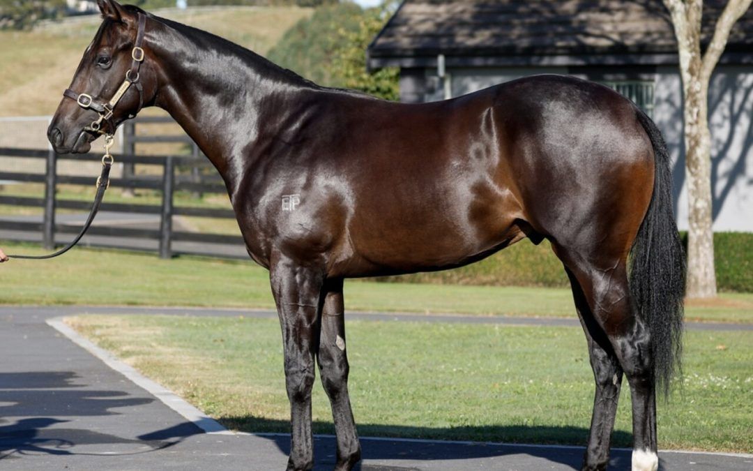 Un-named (Per Incanto – Bridgewater)