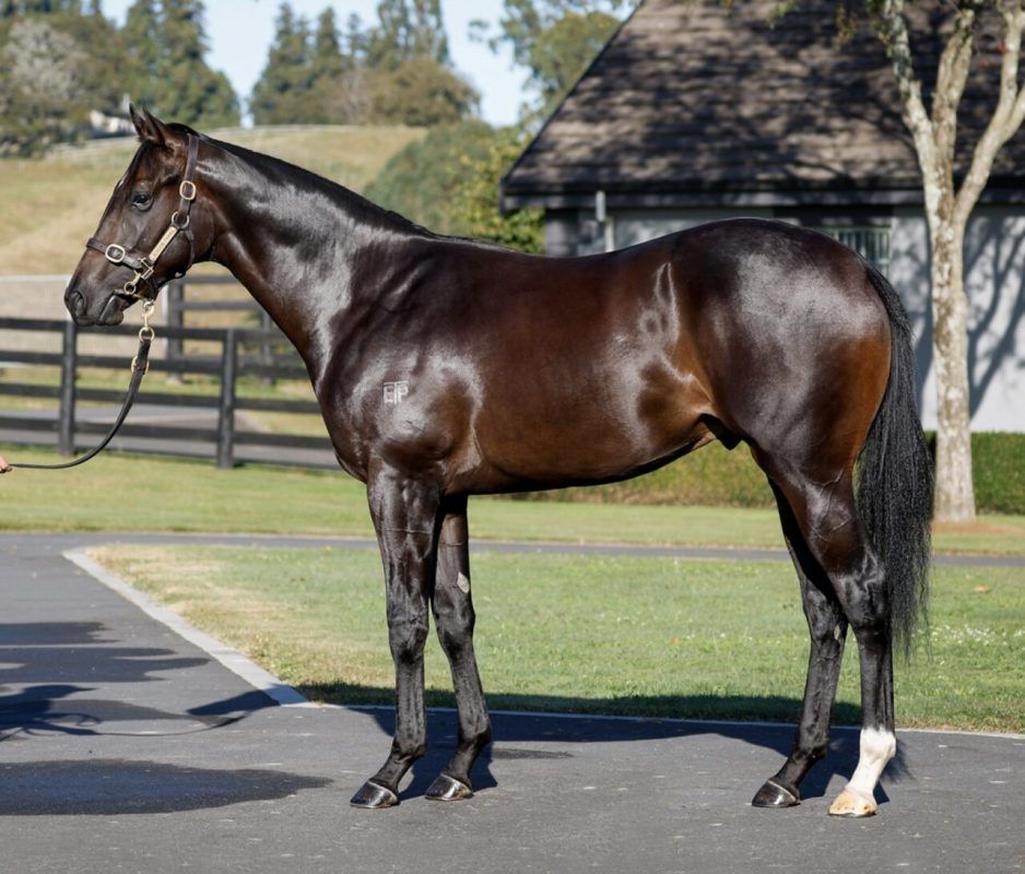 Un-named (Per Incanto – Bridgewater)