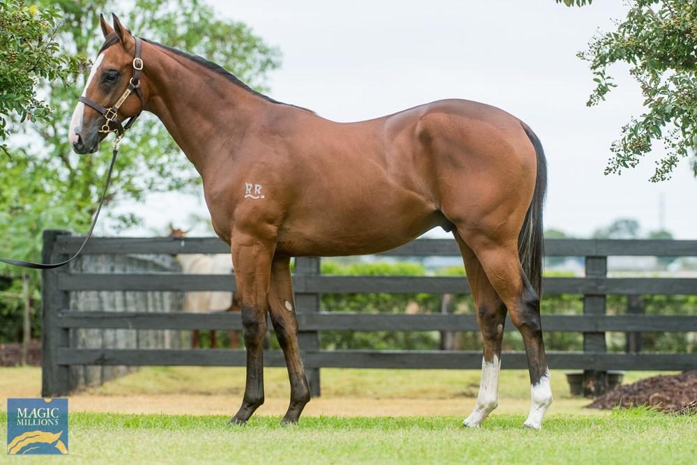 Astern Colt