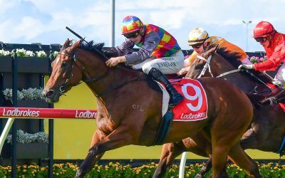 Tiger Shark finds winning bite to upset rivals in Mick Dittman Plate at Eagle Farm