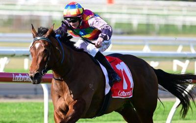 Boost Juice tycoons’ filly Tiger Shark ready to roll in Gold Coast Guineas