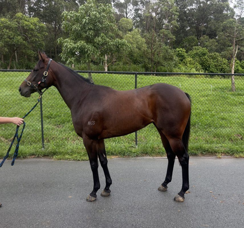 It’sraining Rubies