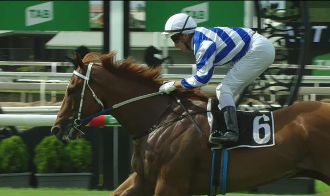 Go Deep too good for them at Doomben