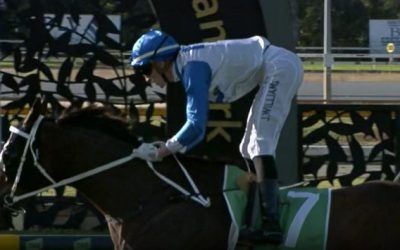 Sian Star shines bring in Rocky