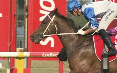 Owners enjoy Spiritof The Ocean’s Maiden win…. and QTIS bonus!