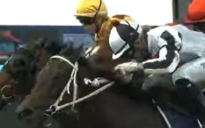 Stable celebrate an emotional win with Riva D’Amor