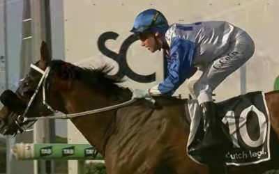 Royal Gladiator entertains with strong win