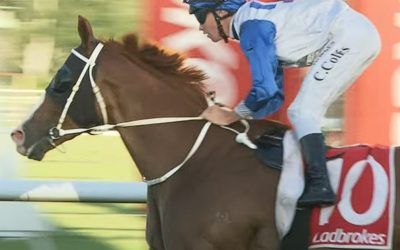 Waxy continues winning ways at Kilcoy