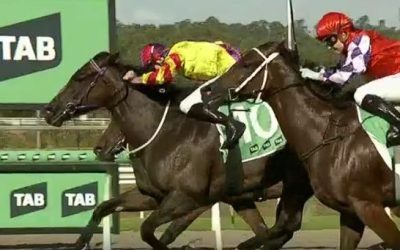 Plenty more wins in store for Joy