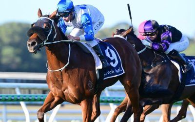 Win number four for Royal Gladiator