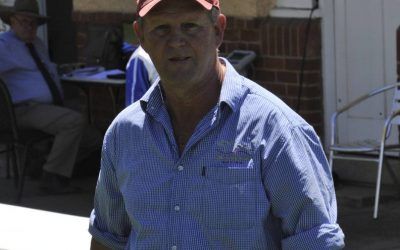 Heywood stable in hot form at Wagga