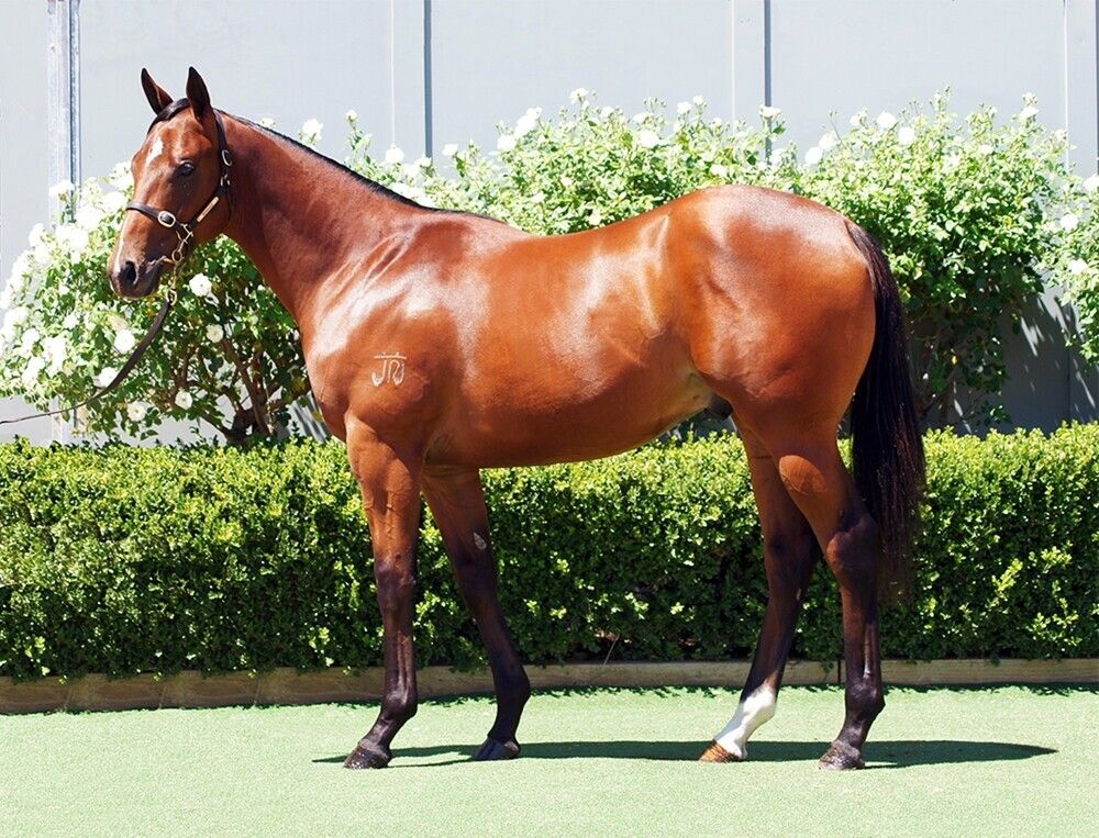 Un-named (Best Of Bordeaux – Zero Tolerance)