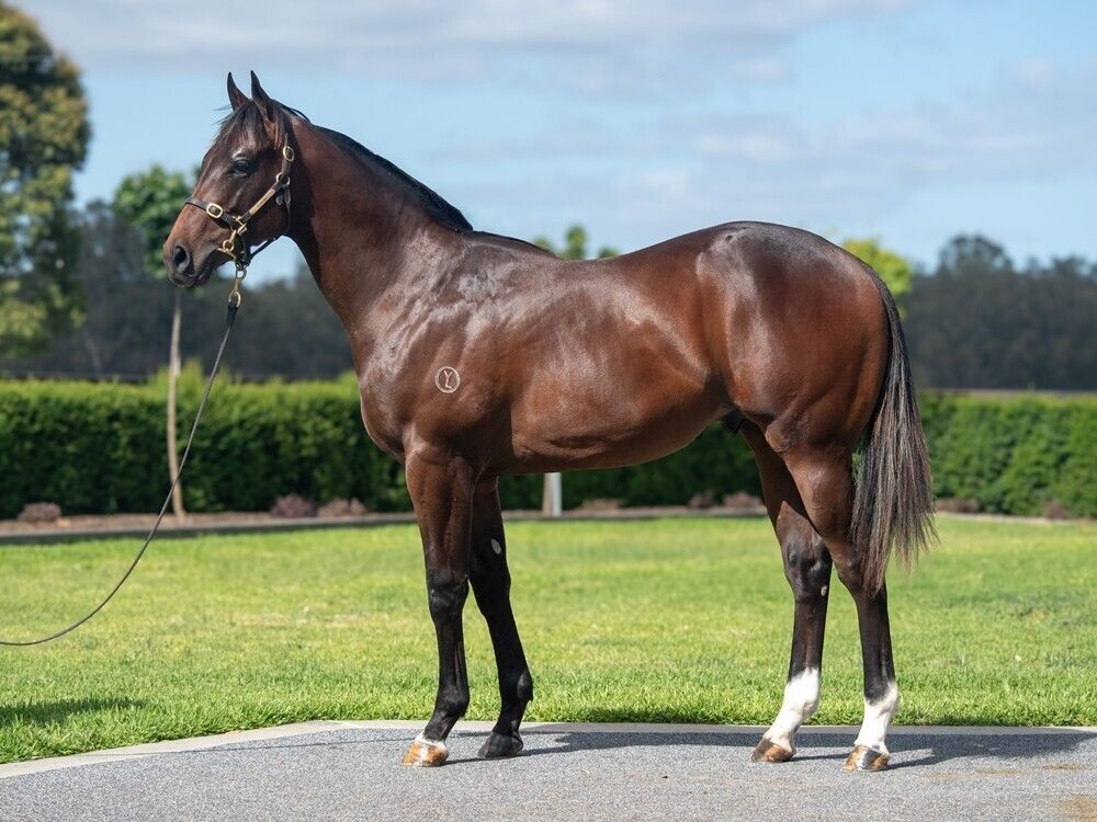 Un-named (Pierata – Bouquet De Flores)