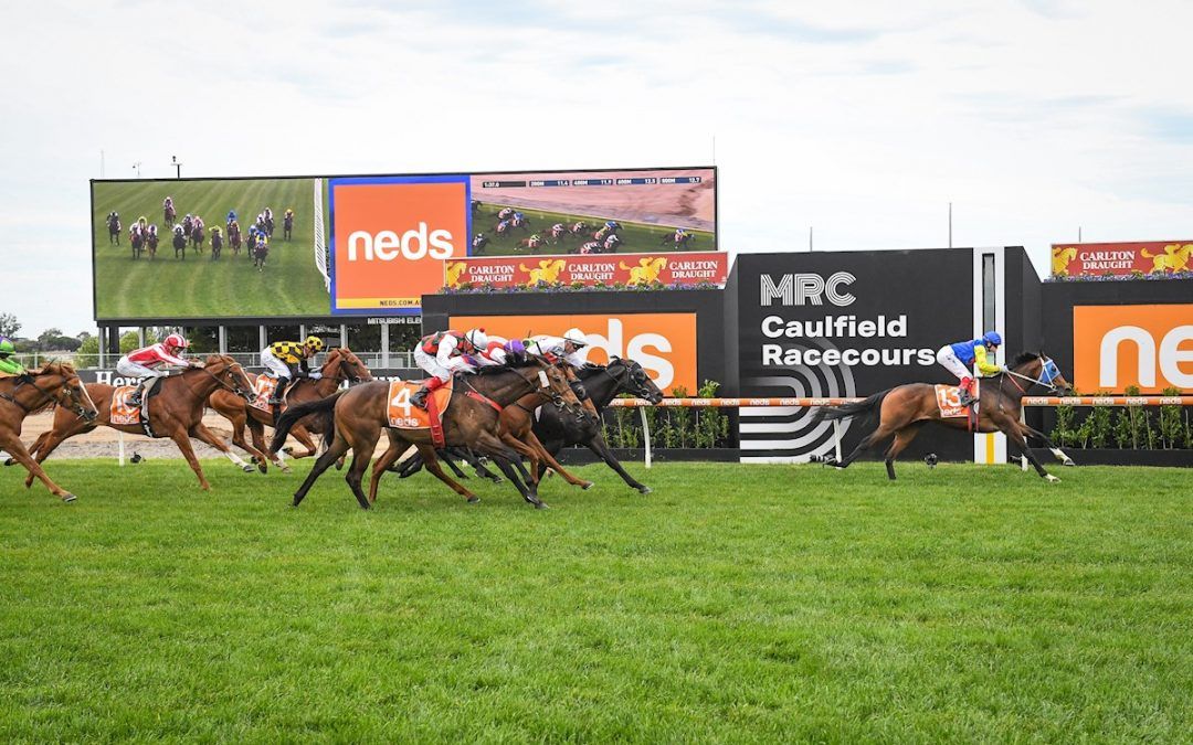 See You In Heaven ridden by Craig Williams wins the Neds Sandown Guineas at Caulfield Racecourse on November 26, 2022 in Melbourne, Australia. (Photo by Reg Ryan/Racing Photos)