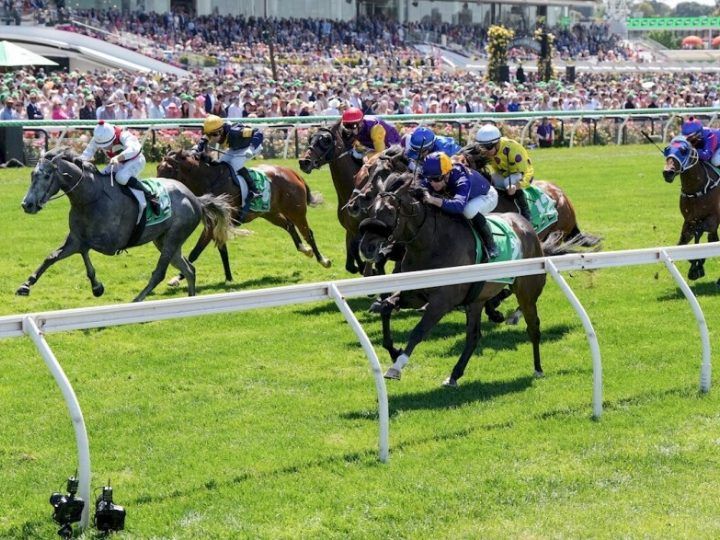 Statuario and other horses in the Listed $175K TAB Trophy at Flemington
