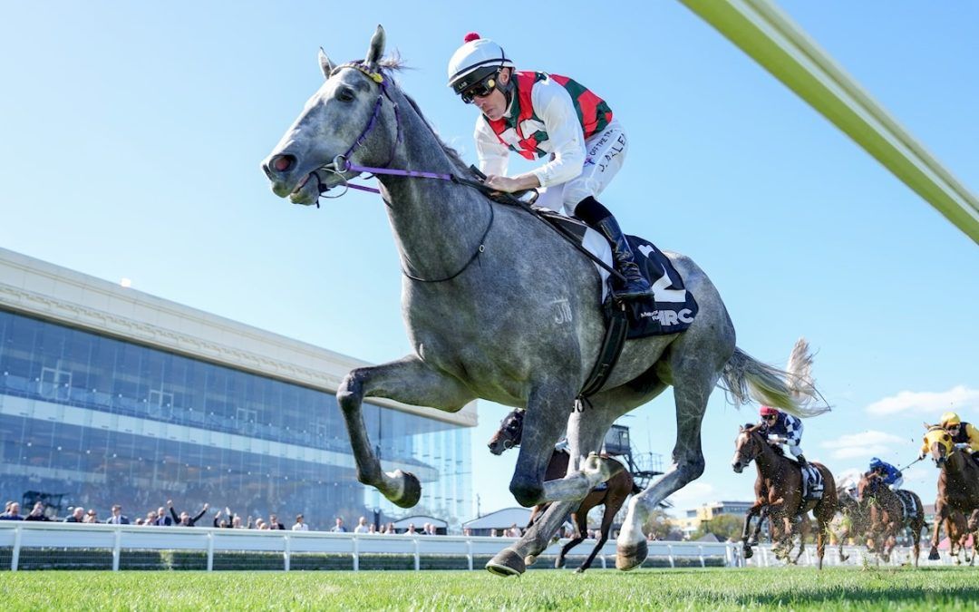Statuario leads the Listed Elvis Thurgood Galilee Series Final