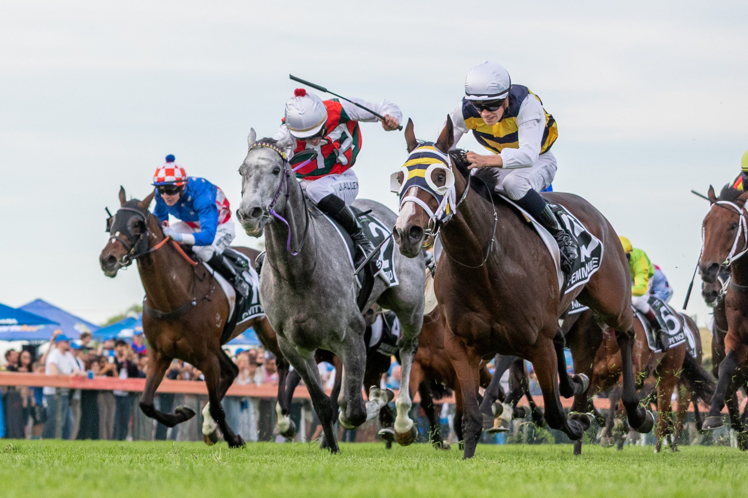Horse Racing