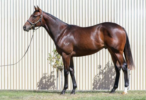 Russian Camelot x So Heroic