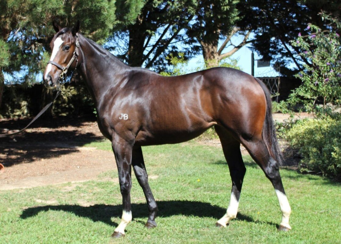 North Pacific x No Sail